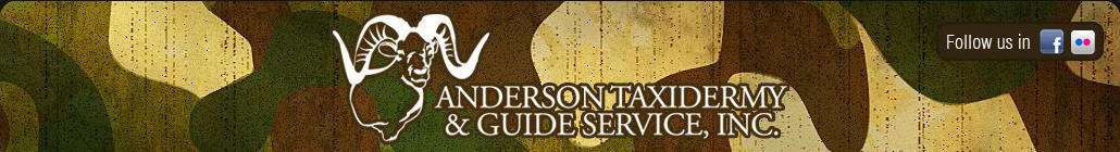 Anderson Taxidermy & Guide Service